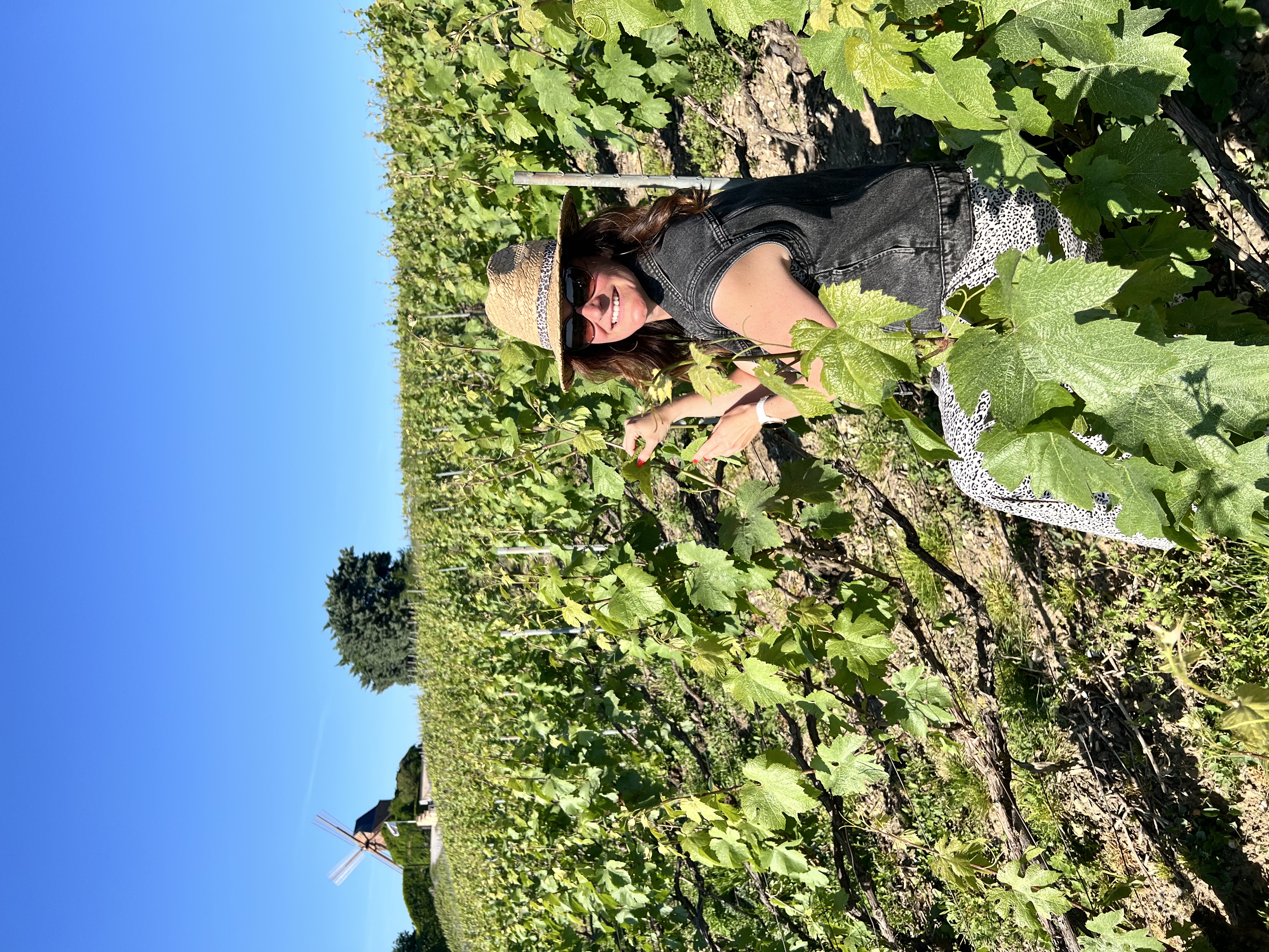 L’Echappée nature - 100% Vignerons